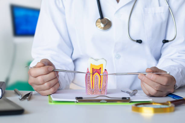 Best Emergency Treatment for Toothache in Oak Harbor, OH